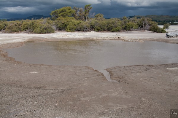 New Zealand 09 10  125